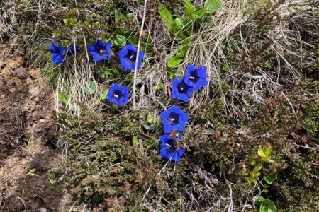 Wanderung mit Toni Senior zur Filzmoosalm