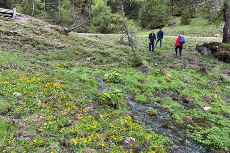 Wanderung mit Toni Senior zur Filzmoosalm