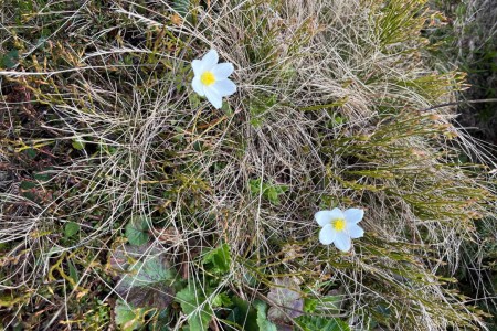 Wanderung mit Toni Senior zur Filzmoosalm