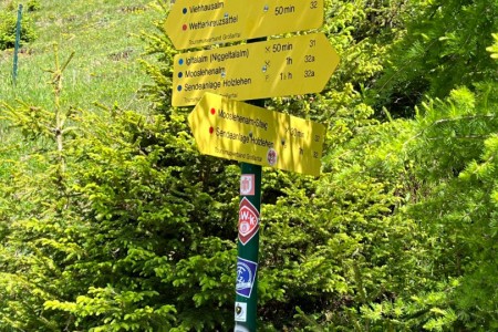 Wanderung mit Toni sen. in das Niggltal