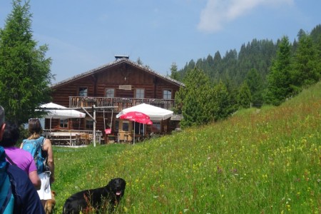 Wanderung mit Dominik zur Gerstreitalm