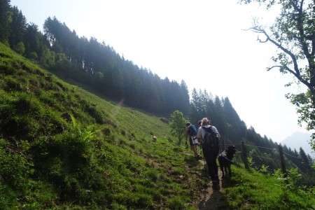 Wanderung mit Dominik zur Gerstreitalm