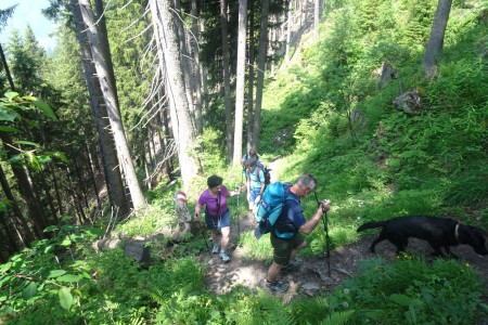 Wanderung mit Dominik zur Gerstreitalm