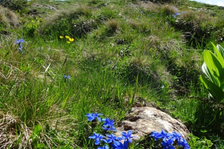 Wanderung mit Maria zum Penkkopf