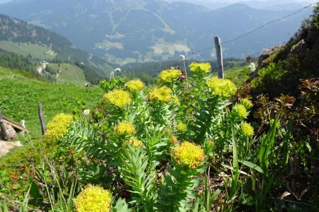 Wanderung mit Maria zum Penkkopf