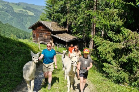Alpakawandern mit Karin
