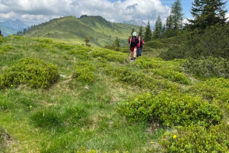 Wanderung mit Toni sen. von der Saukaralm zur Ellmaualm