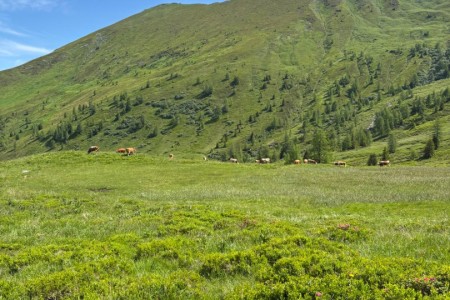 Wanderung mit Maria zum Kreuzeck