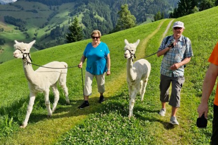 Alpakawanderung mit Karin