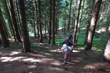 Wanderung mit Dominik zur Niggltalalm