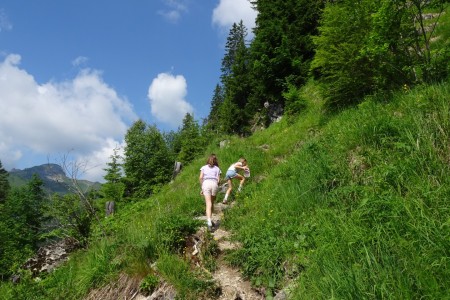 Wanderung mit Dominik zur Niggltalalm