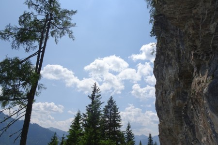 Wanderung mit Dominik zur Niggltalalm