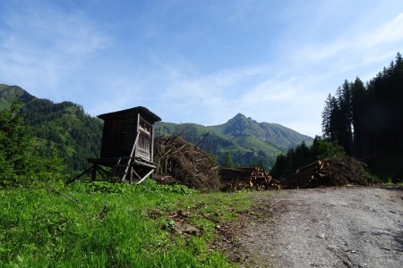 Wanderung mit Dominik zur Niggltalalm