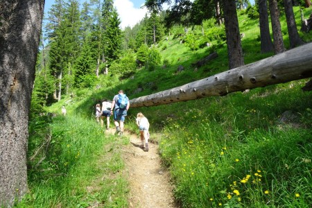 Wanderung mit Dominik zur Niggltalalm