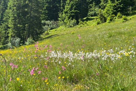 Wanderung mit Toni zum Großarler Sinnesweg