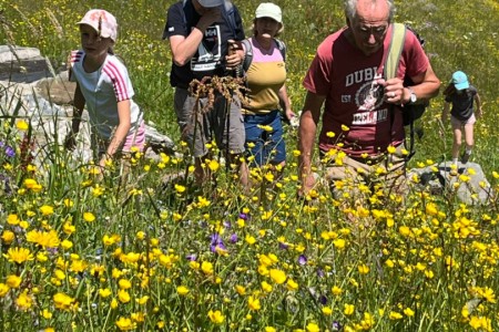 Wanderung mit Toni zum Großarler Sinnesweg