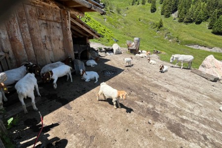 Wanderung mit Toni zum Großarler Sinnesweg