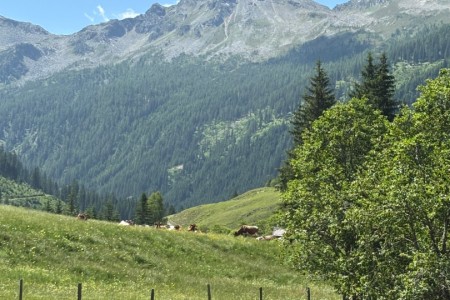Casanovas-Wandertag zur Hub-Grundalm