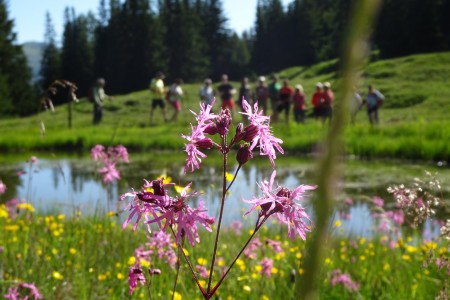 Casanovas-Wandertag zur Filzmoosalm