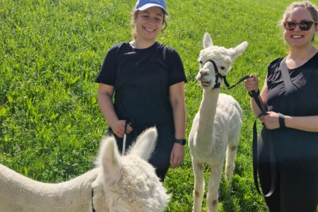 Alpakawanderung mit Karin