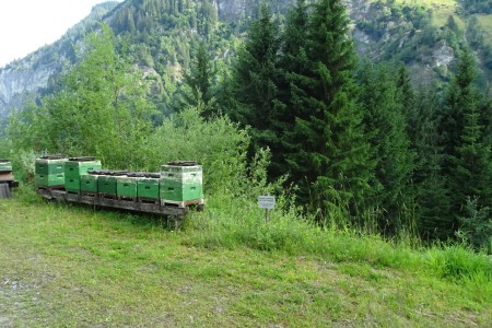 Wanderung mit Dominik zur Hirschgrubenalm