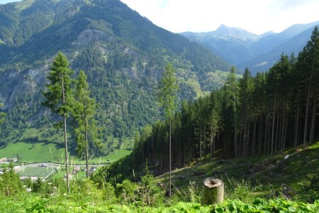 Wanderung mit Dominik zur Hirschgrubenalm