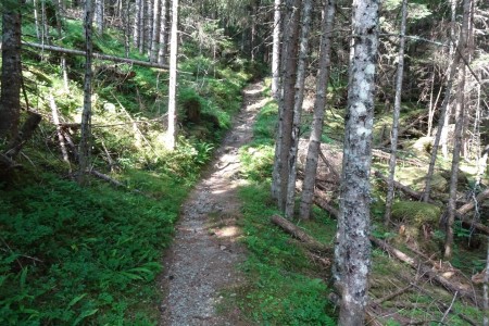 Wanderung mit Dominik zur Hirschgrubenalm