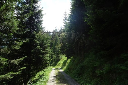 Wanderung mit Dominik zur Hirschgrubenalm