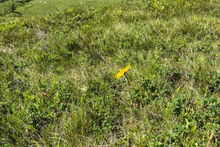 Wanderung mit Toni sen. zur Reitalm