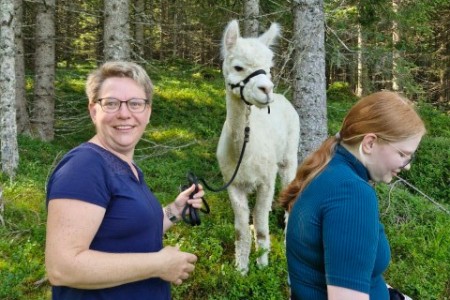 Alpakawanderung mit Karin