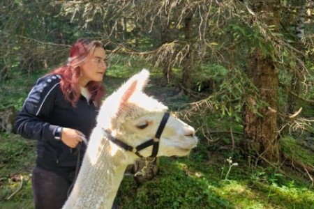 Alpakawanderung mit Karin