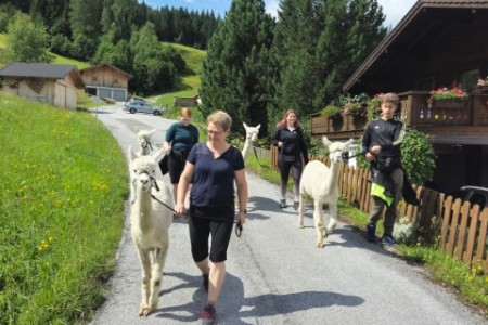 Alpakawanderung mit Karin
