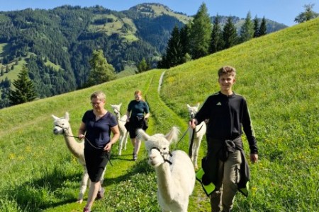 Alpakawanderung mit Karin