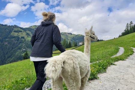 Alpakawanderung mit Karin