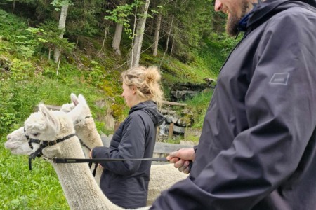 Alpakawanderung mit Karin
