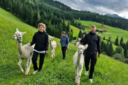 Alpakawanderung mit Karin