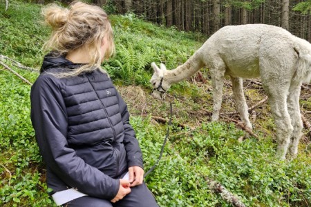 Alpakawanderung mit Karin