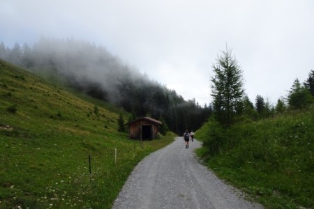 Wanderung mit Dominik zur Niggltalalm