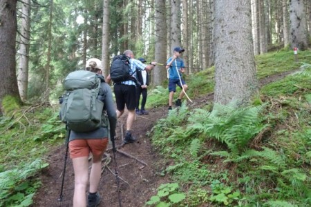 Wanderung mit Dominik zur Niggltalalm