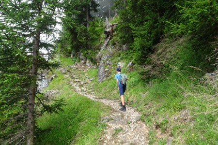 Wanderung mit Dominik zur Niggltalalm