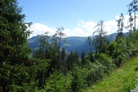 Wanderung mit Dominik zur Niggltalalm