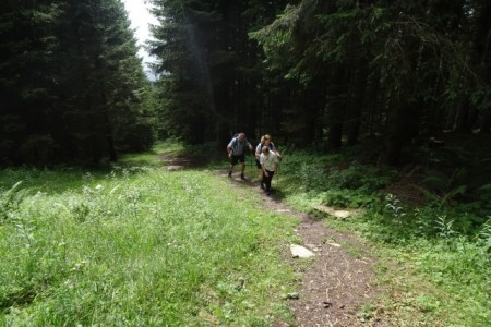 Wanderung mit Dominik zur Niggltalalm