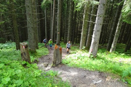 Wanderung mit Dominik zur Niggltalalm