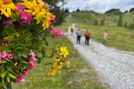 Wanderung mit Toni sen. zur Maurachalm