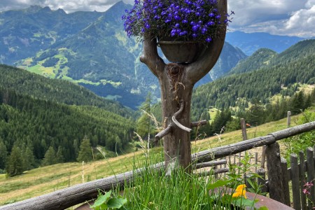 Wanderung mit Toni sen. zur Maurachalm