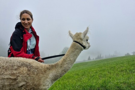 Alpakawanderung mit Karin