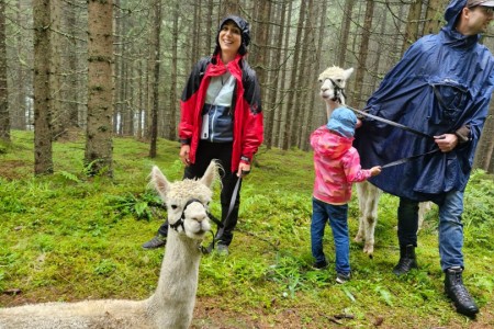 Alpakawanderung mit Karin