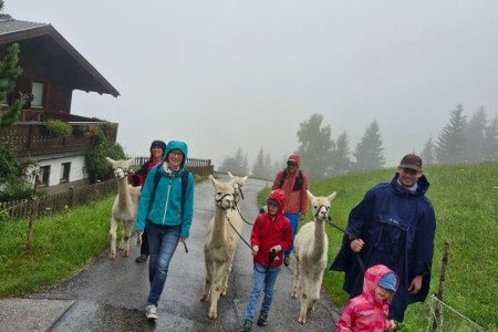 Alpakawanderung mit Karin