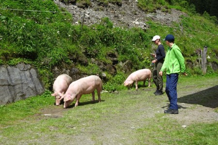 Wanderung mit Maria sen. zur Hubalm