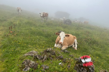 Wanderung mit Toni sen. im Ellmautal